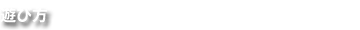 遊び方